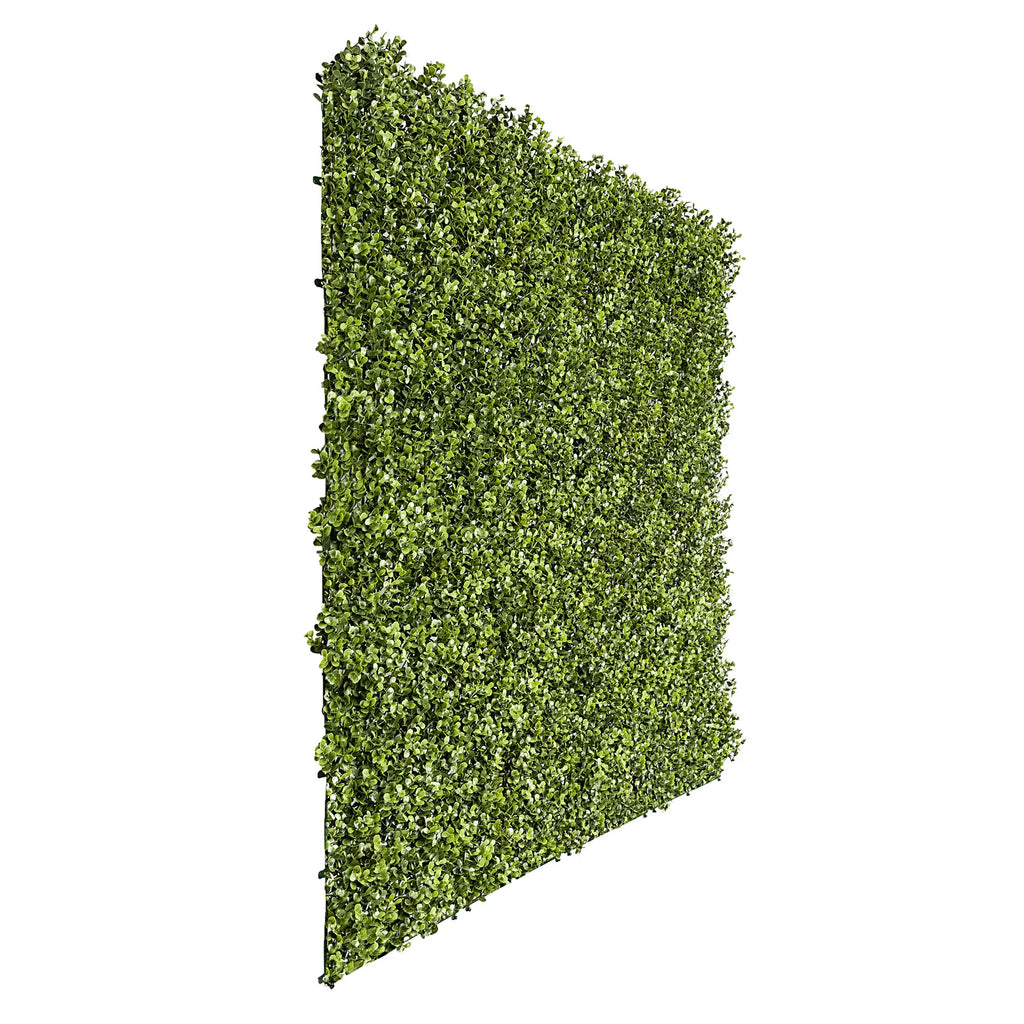 Sample Panel – Natural Boxwood Green Wall (Small Sample)