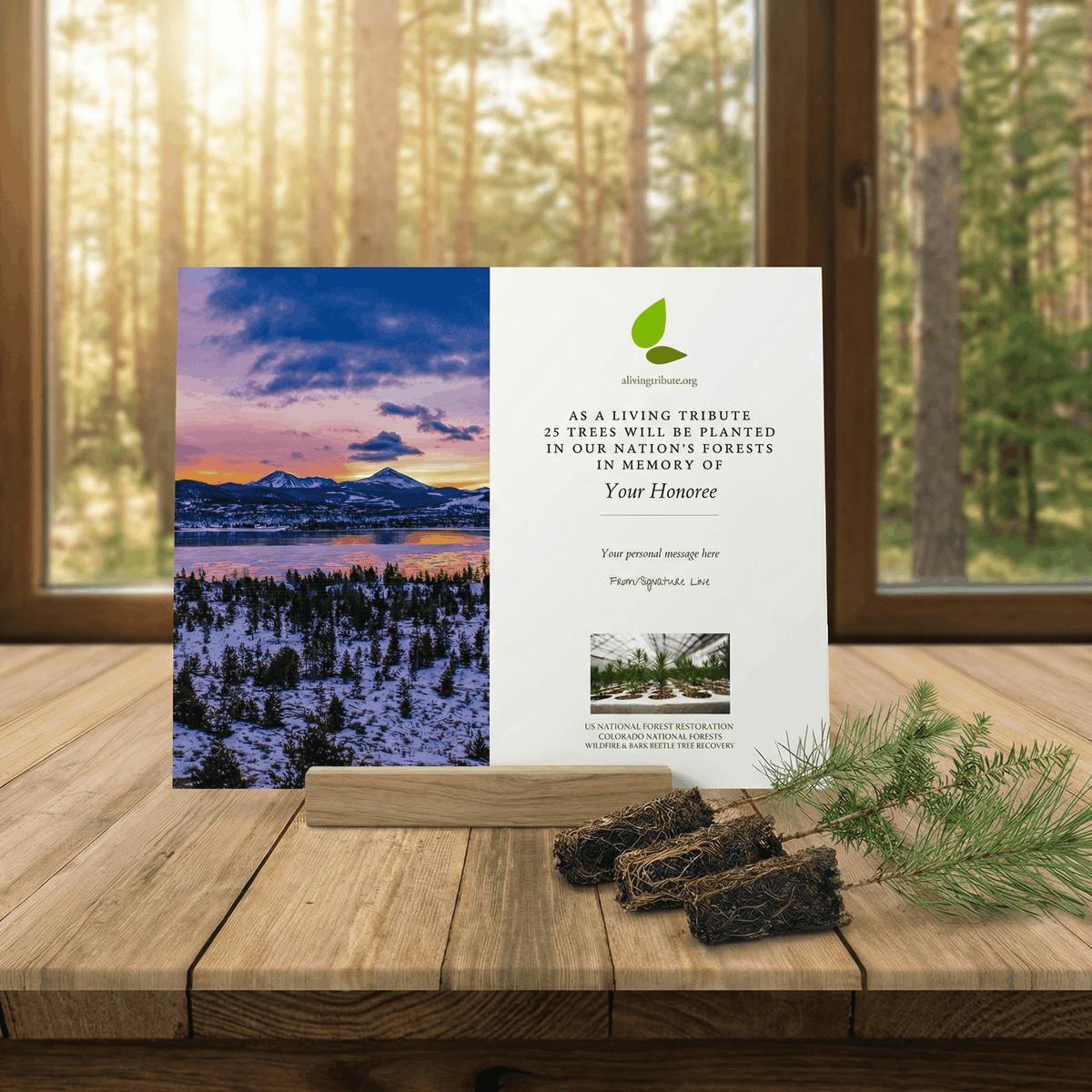 Plant a Tree for Someone in Colorado - Colorado Memorial Trees