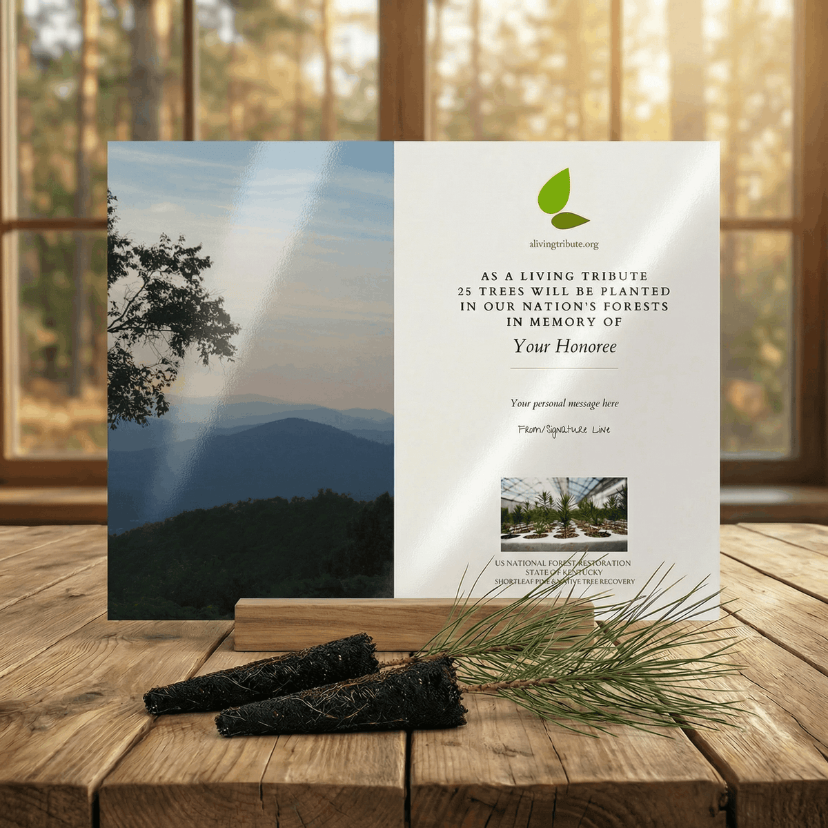 Plant a Tree for Someone in Kentucky - Memorial & Tribute Trees