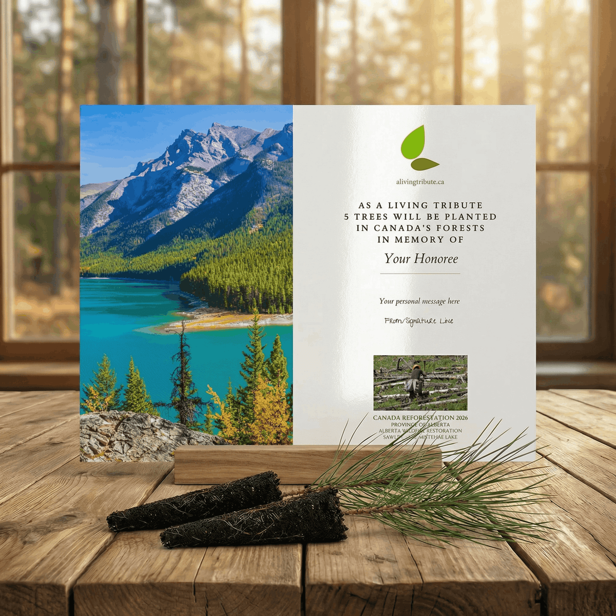 Plant a Tree in Canada with Mailed Commemorative Card
