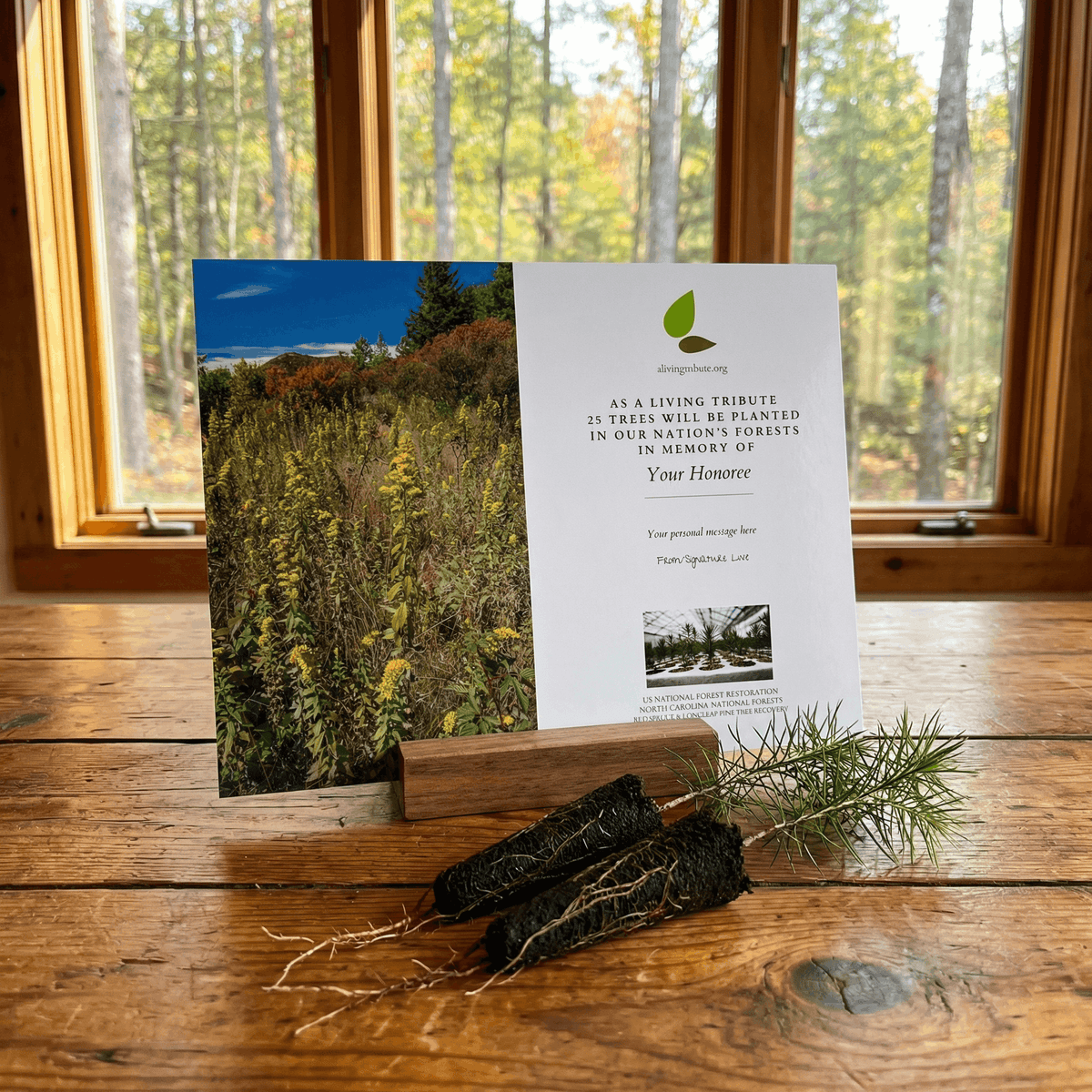Plant a Tree for Someone in North Carolina - Memorial & Tribute Trees