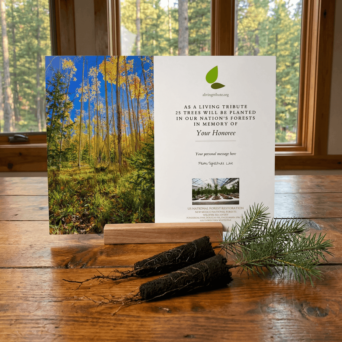 Plant a Tree for Someone in New Mexico - Memorial & Tribute Trees