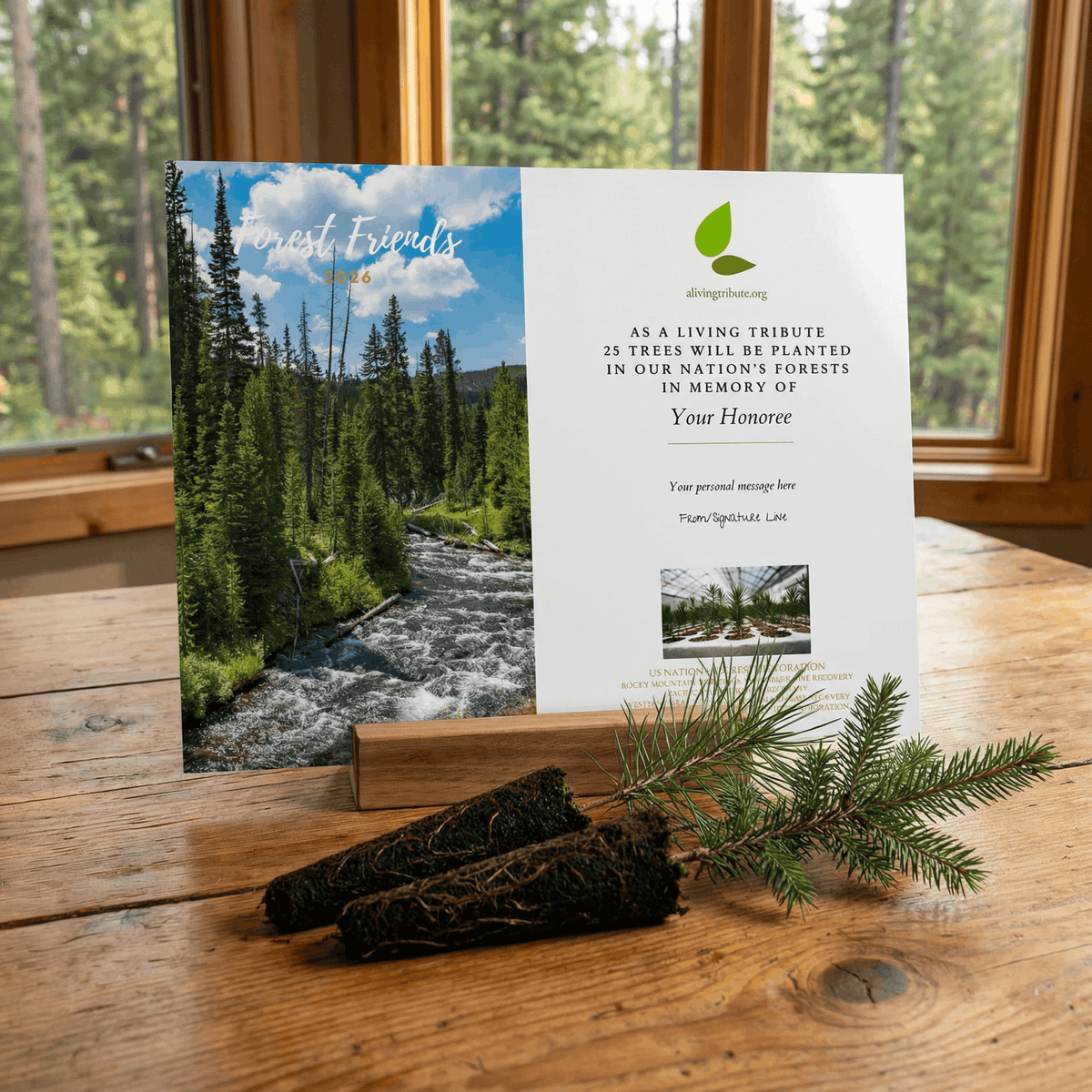 Forest Friends Tree Gift - A Living Tribute