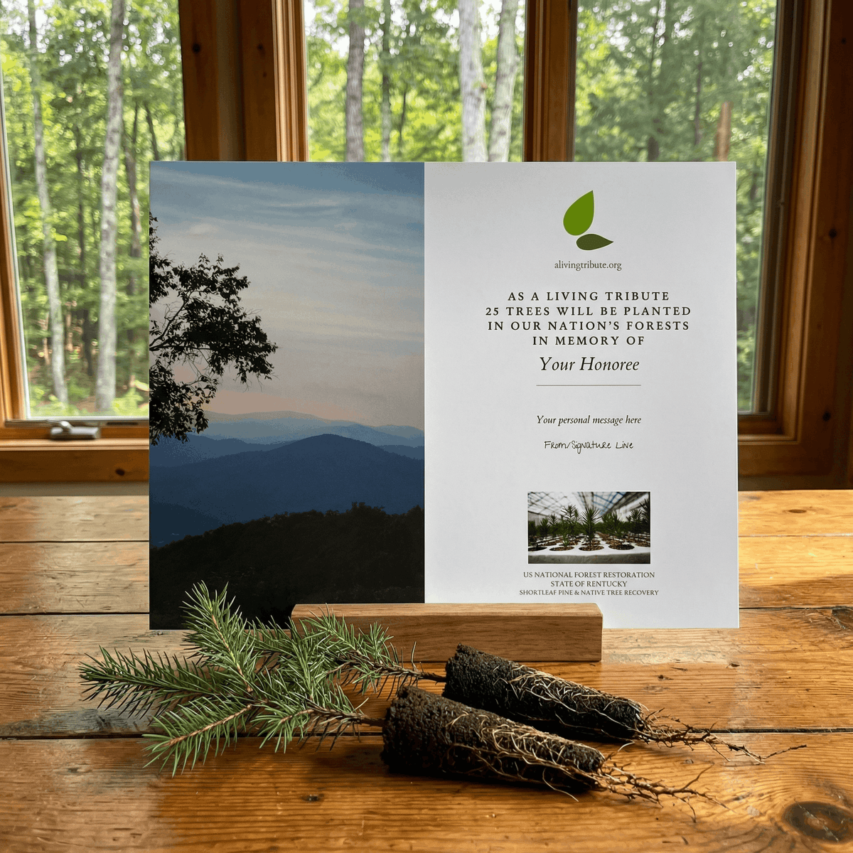 Plant a Tree for Someone in Kentucky - Memorial & Tribute Trees