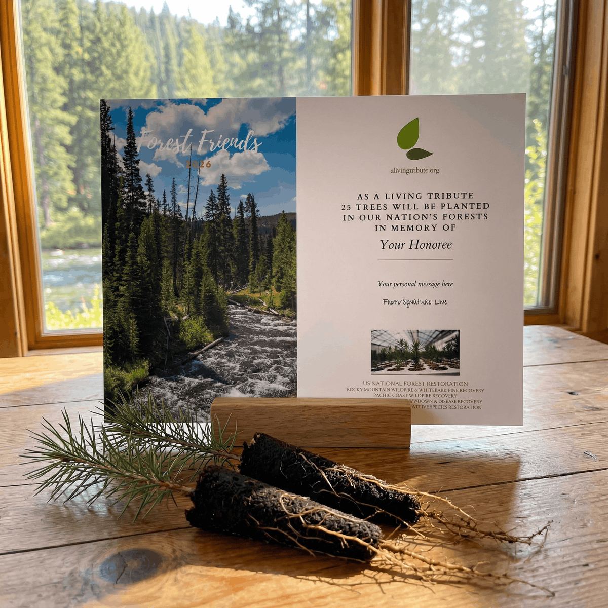 Forest Friends Tree Gift - A Living Tribute