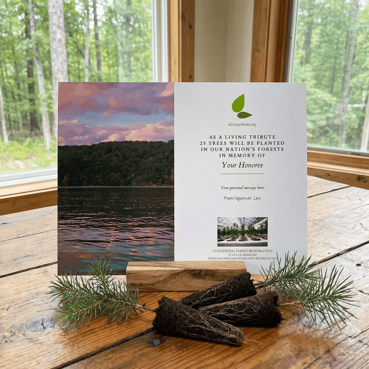Plant a Tree for Someone in Missouri - Memorial & Tribute Trees