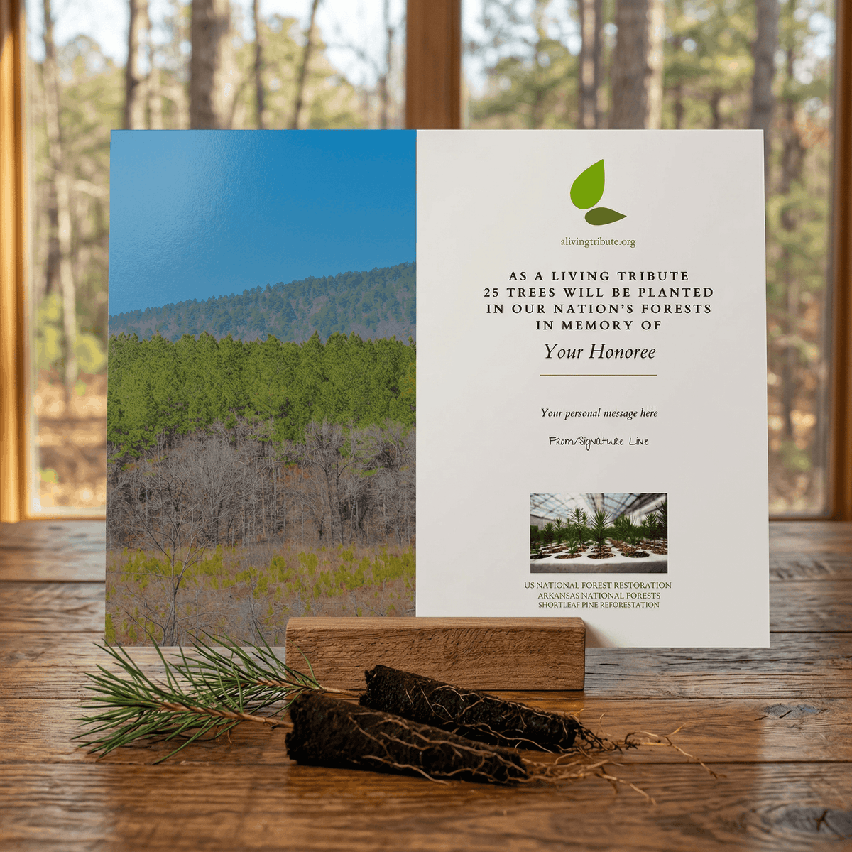 Plant a Tree for Someone in Arkansas - Memorial & Tribute Trees