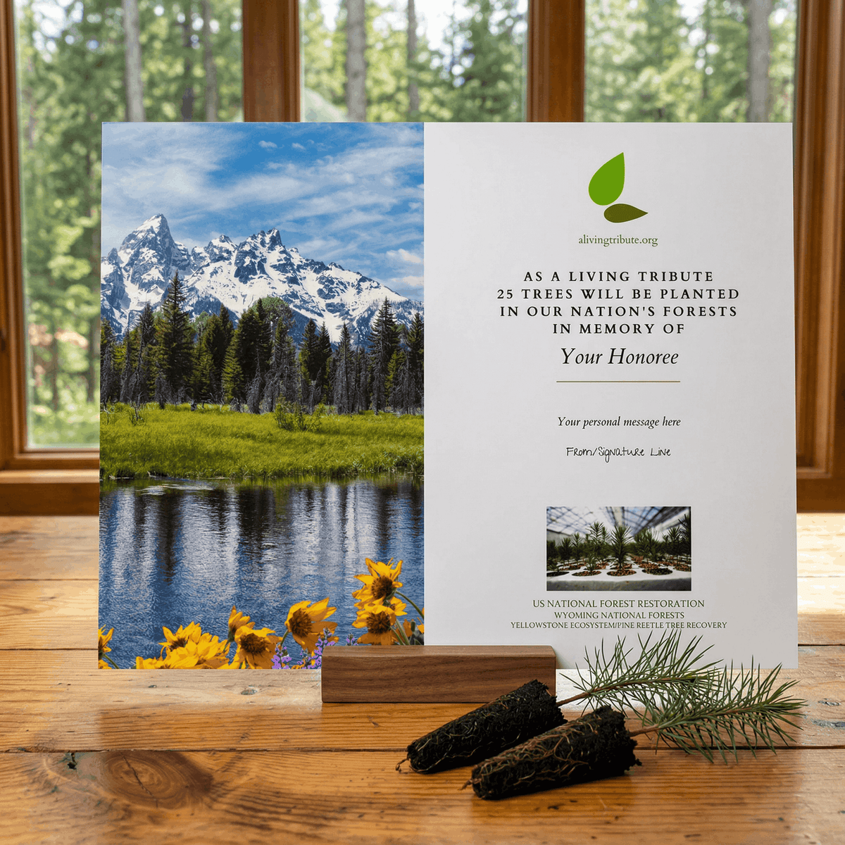 Plant a Tree for Someone in Wyoming - Memorial & Tribute Trees