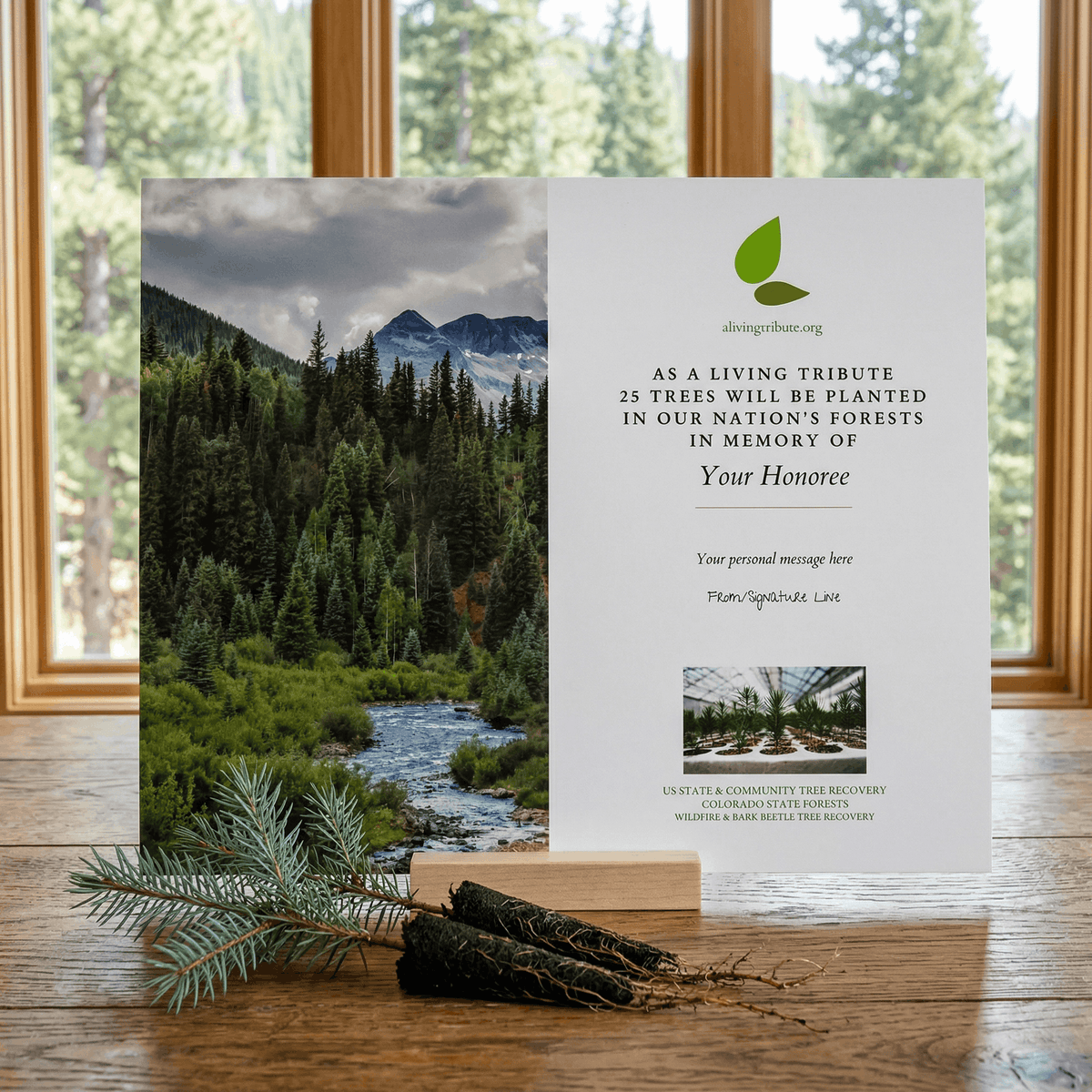 Plant a Tree for Someone in Colorado - Colorado Memorial Trees