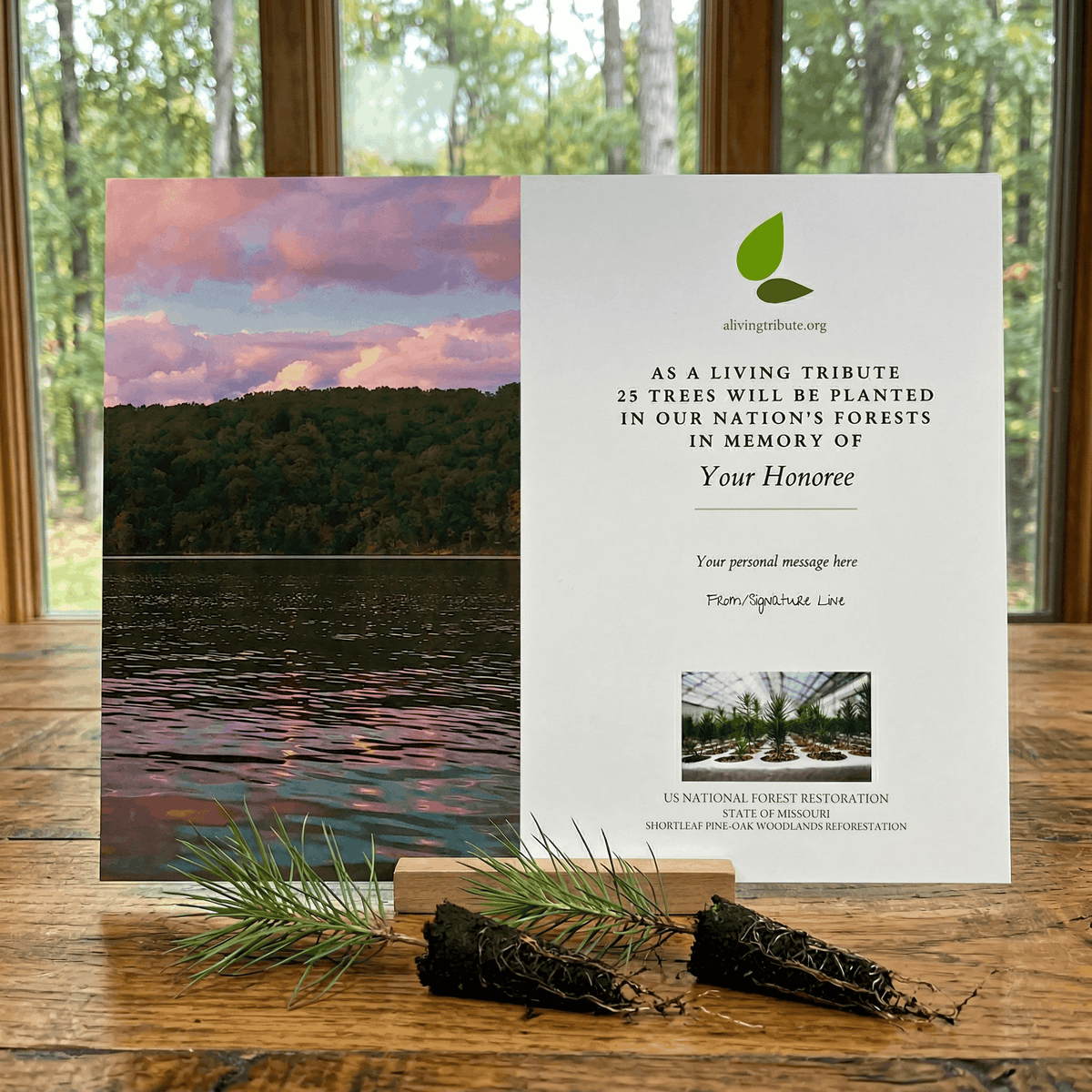 Plant a Tree for Someone in Missouri - Memorial & Tribute Trees