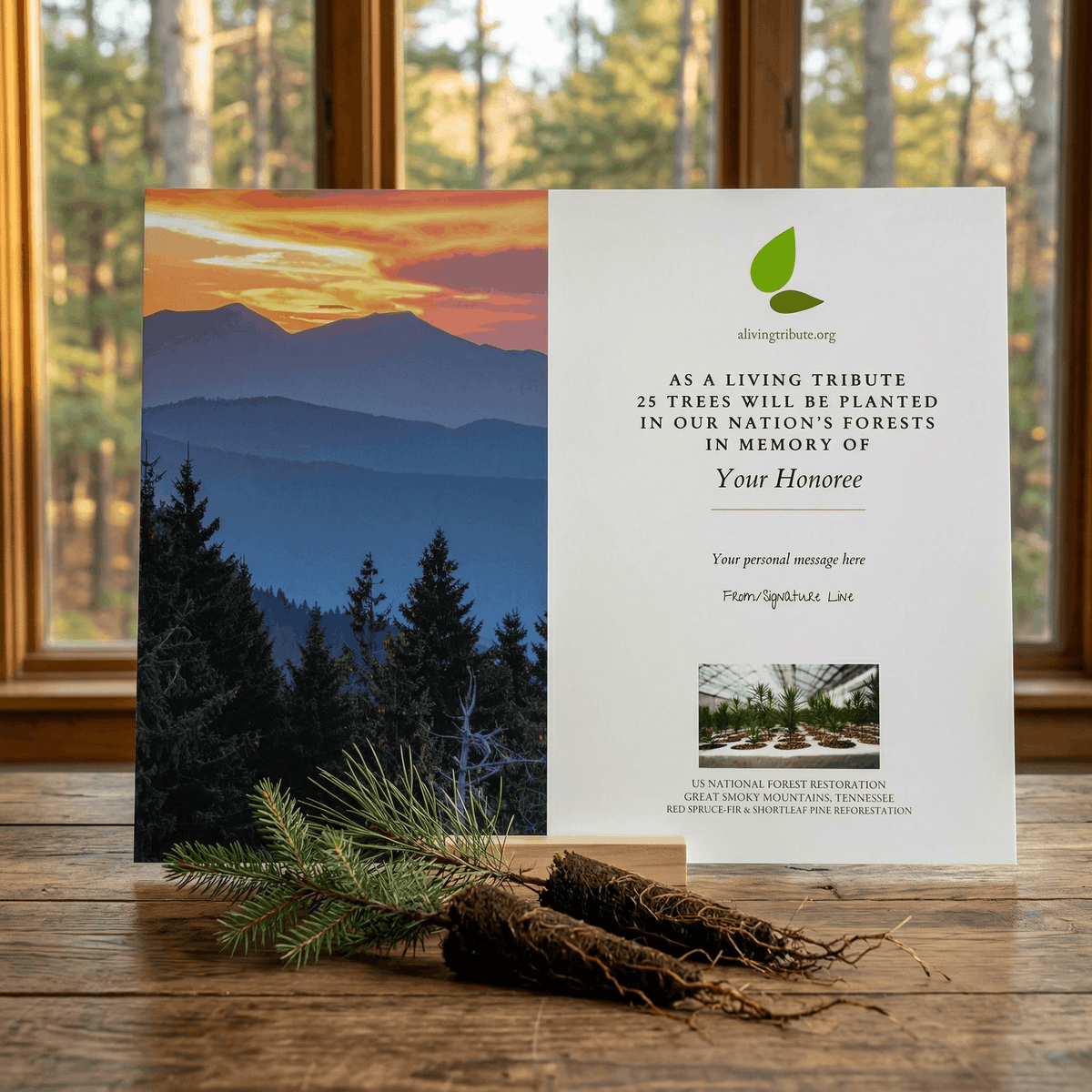 Plant a Tree for Someone in Tennessee - Memorial & Tribute Trees