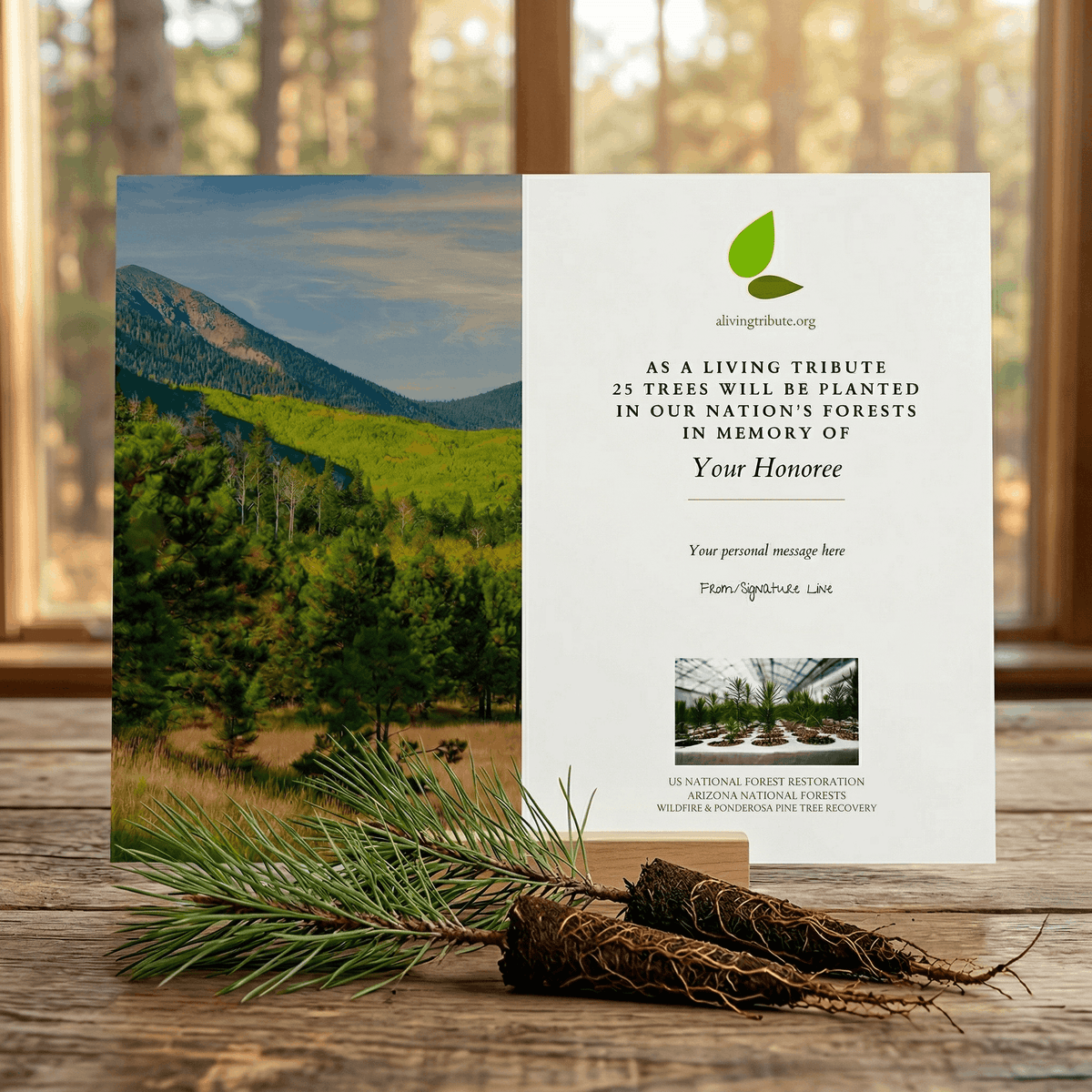 Plant a Tree for Someone in Arizona - Memorial & Tribute Trees