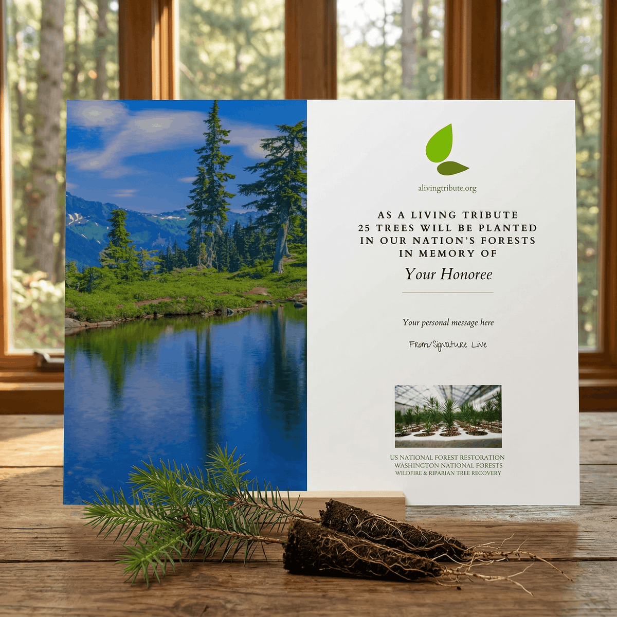 Plant a Tree for Someone in Washington - Memorial & Tribute Trees