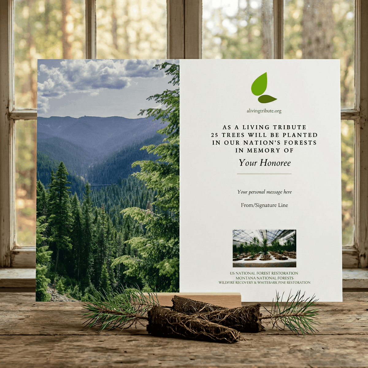 Plant a Tree for Someone in Montana - Memorial & Tribute Trees