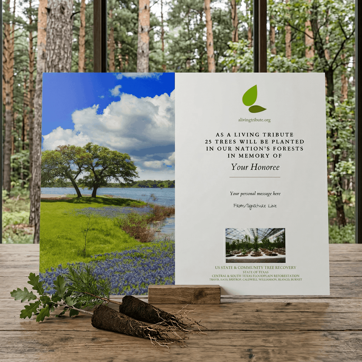 Plant a Tree for Someone in Texas - Memorial & Tribute Trees