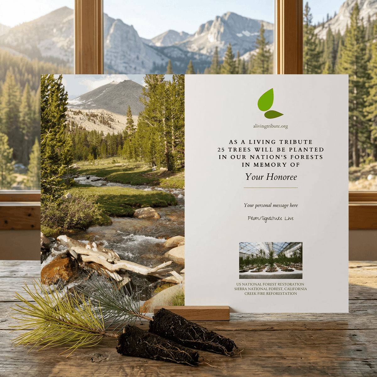Plant a Tree in Honor or Memory in a California National Forest - A Living Tribute