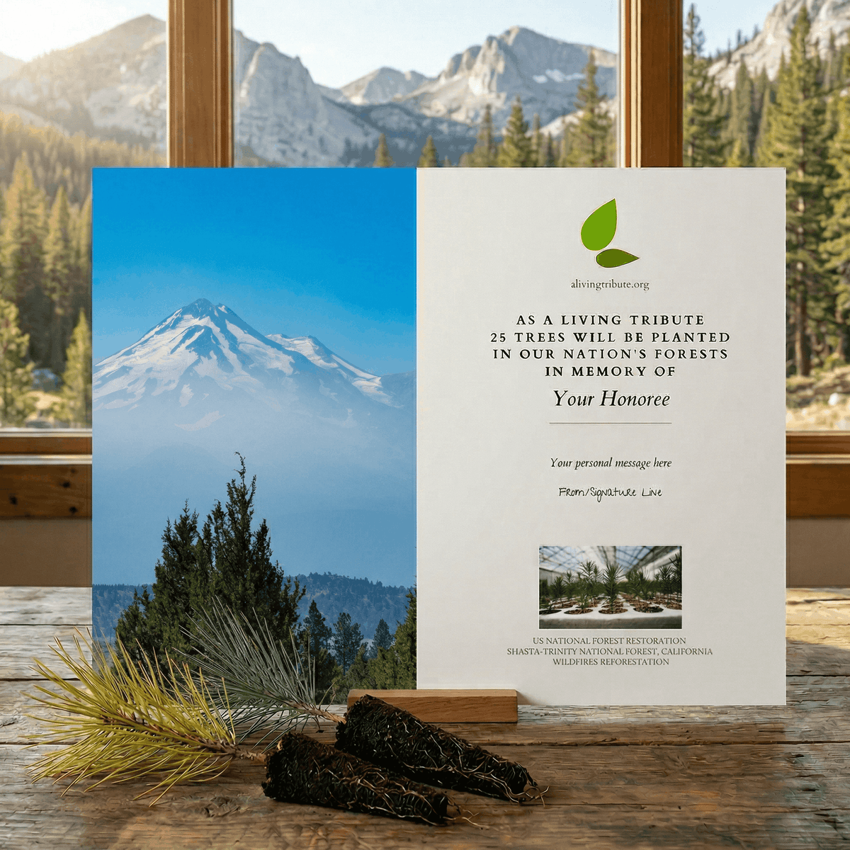 Plant a Tree in Honor or Memory in a California National Forest - A Living Tribute