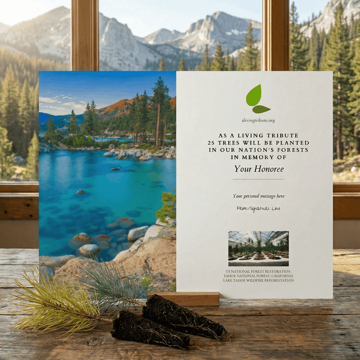 Plant a Tree in Honor or Memory in a California National Forest - A Living Tribute