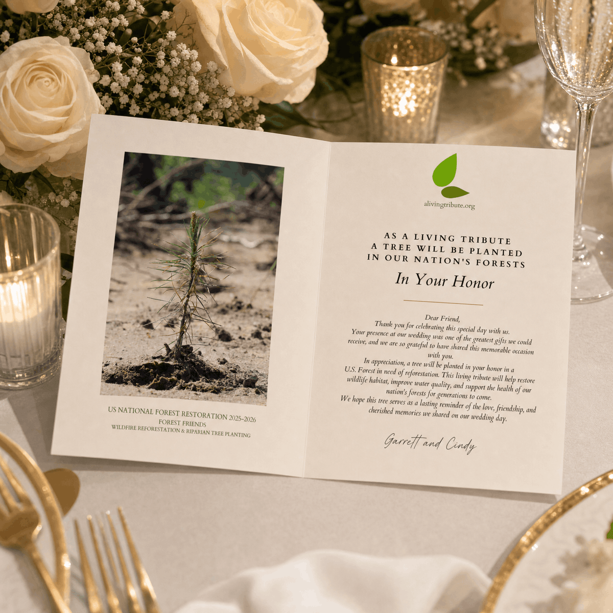 Plant-a-Tree Wedding Favors - A Living Tribute