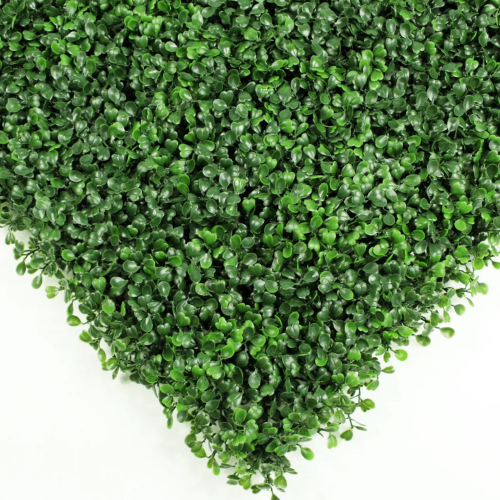Dark Boxwood Artificial Vertical Garden Green Wall Panel 40×40in 11 SQ FT – UV Resistant – Commercial Grade