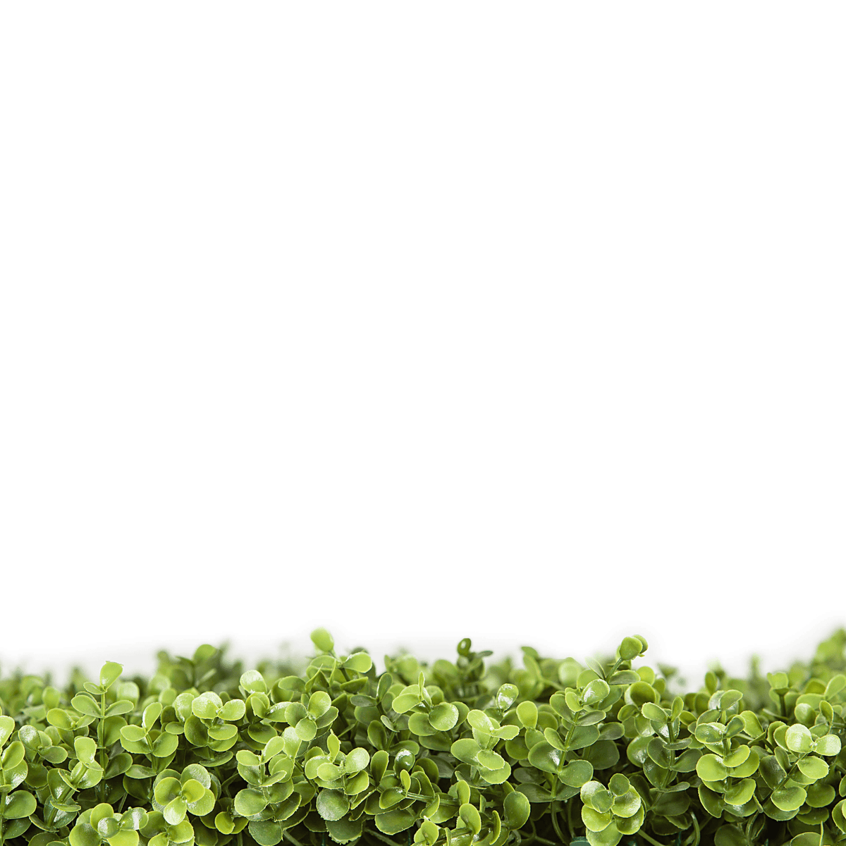 Natural Boxwood Artificial Vertical Garden Green Wall Panel 40×40in 11 SQ FT – UV Resistant – Commercial Grade