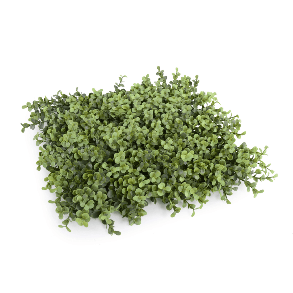 Natural Boxwood Artificial Vertical Garden Green Wall Panel 40×40in 11 SQ FT – UV Resistant – Commercial Grade