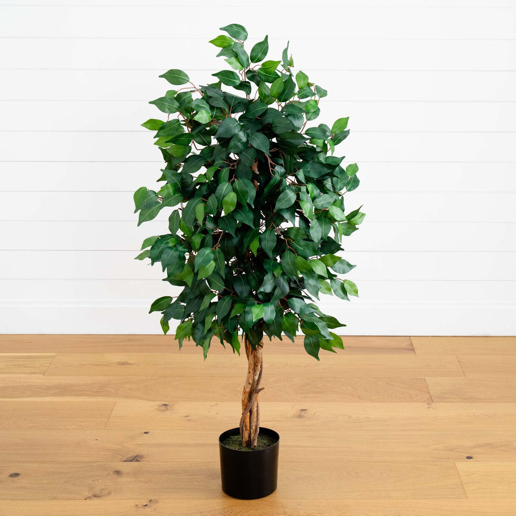 4' Ficus Auriculata Artificial Silk Tree
