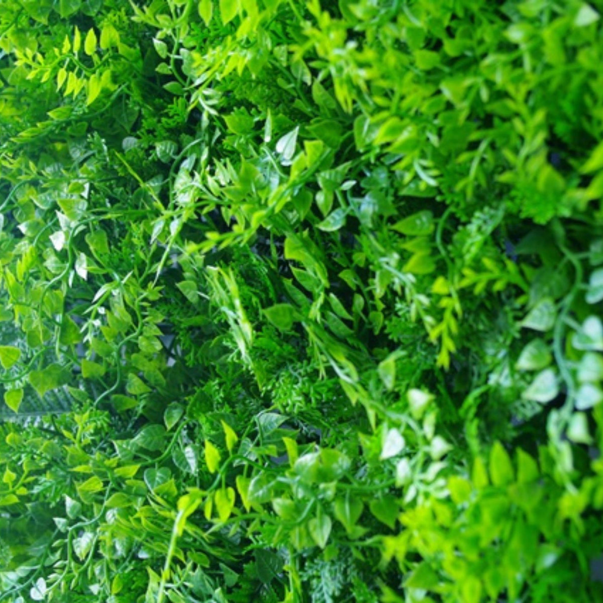 Lush Fern Artificial Vertical Garden Green Wall Panel 40×40in 11 SQ FT – UV Resistant – Commercial Grade