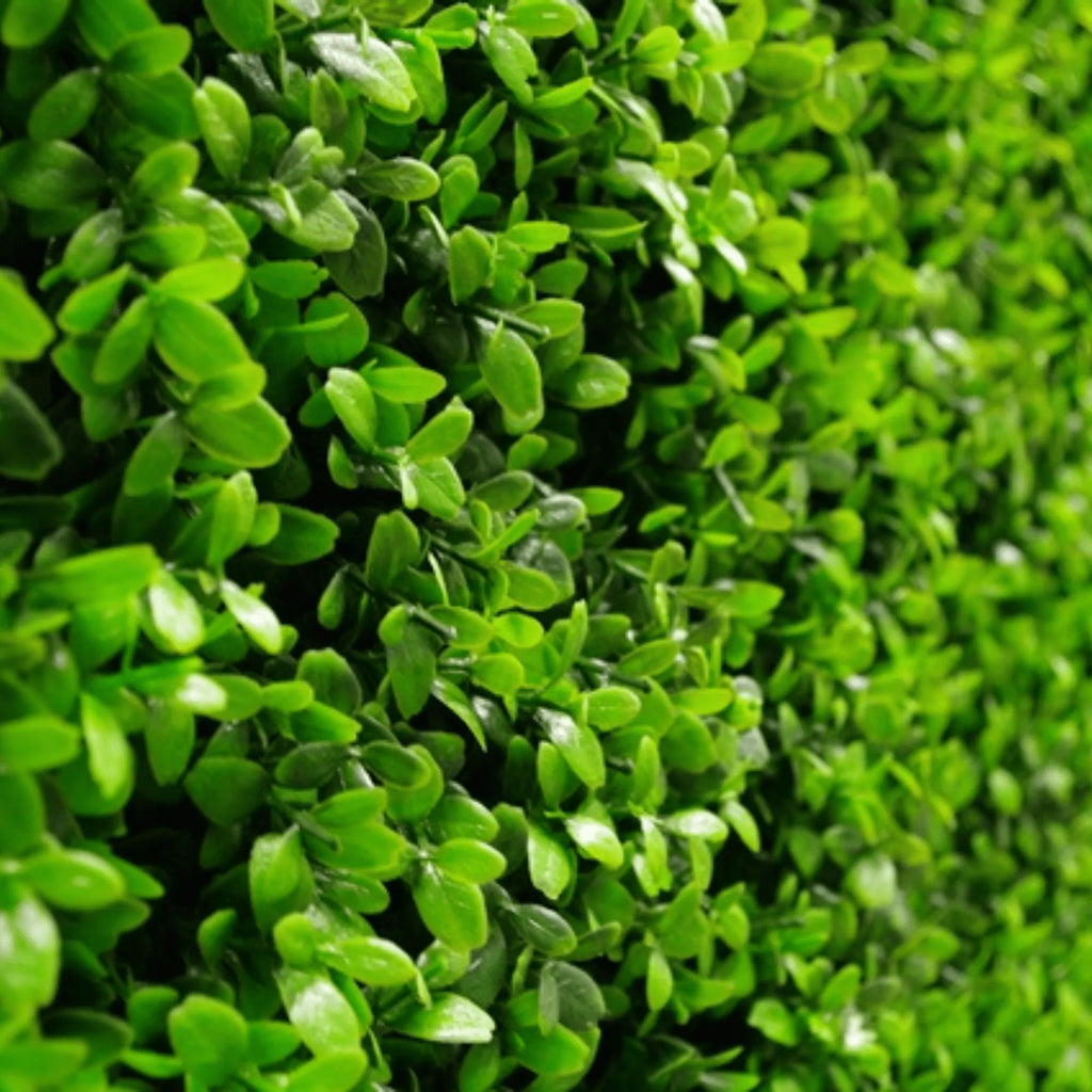 Bright Boxwood Artificial Vertical Garden Green Wall Panel 40×40in 11 SQ FT – UV Resistant – Commercial Grade