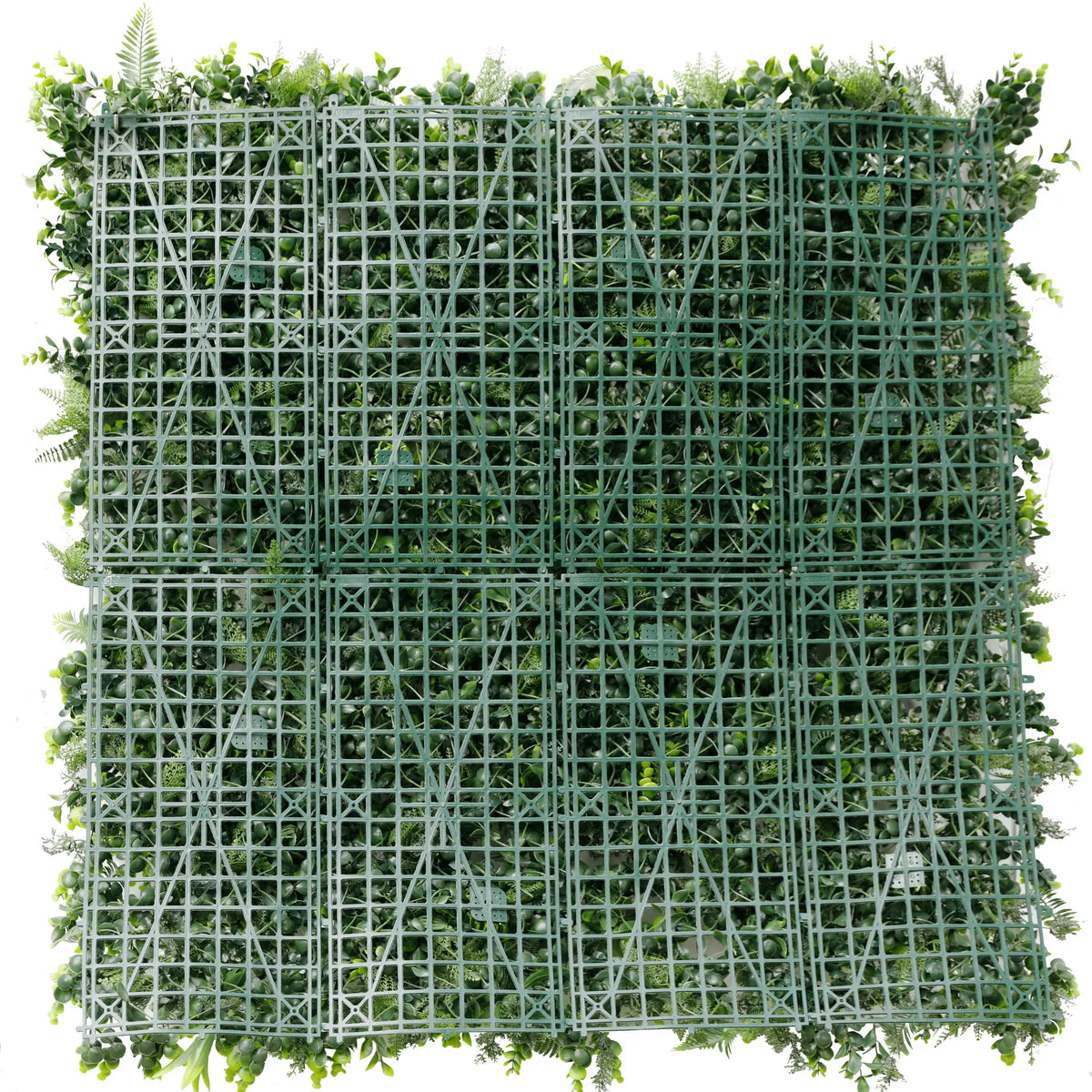 Sample Panel – Natural Boxwood Green Wall (Small Sample)