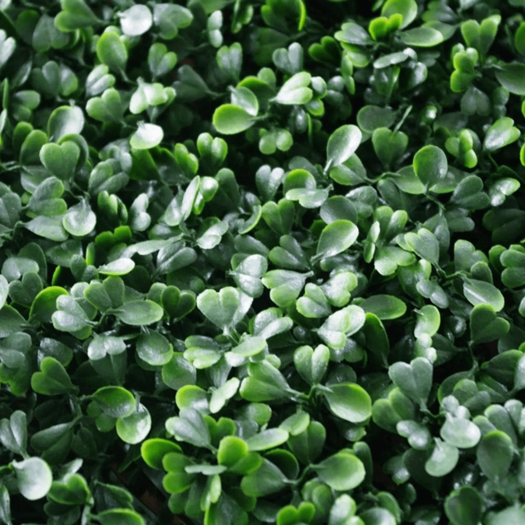Dark Boxwood Artificial Vertical Garden Green Wall Panel 40×40in 11 SQ FT – UV Resistant – Commercial Grade