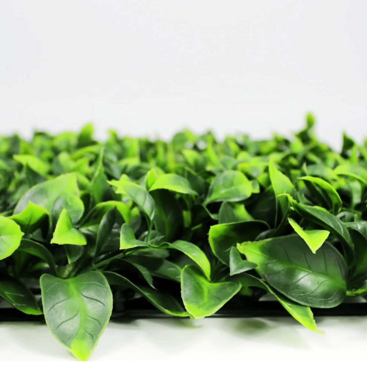 Jasmine Artificial Vertical Garden Green Wall Panel 40×40in 11 SQ FT – UV Resistant – Commercial Grade