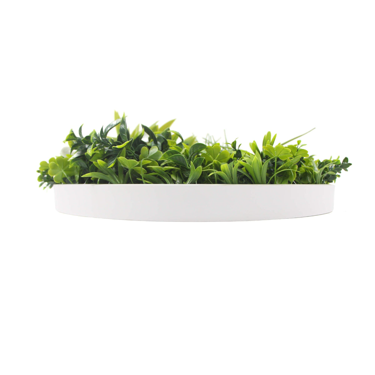 Slimline White Flowering Artificial Green Wall Disc 40in – White Frame – UV Resistant