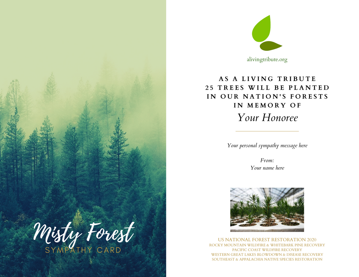 Send a Reforestation Sympathy Card - A Living Tribute®