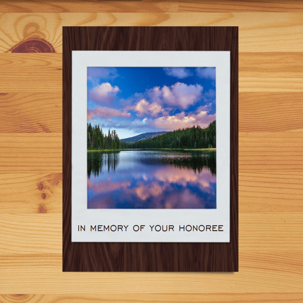 Tree Planting in a US National Forest with Mailed Commemorative Card
