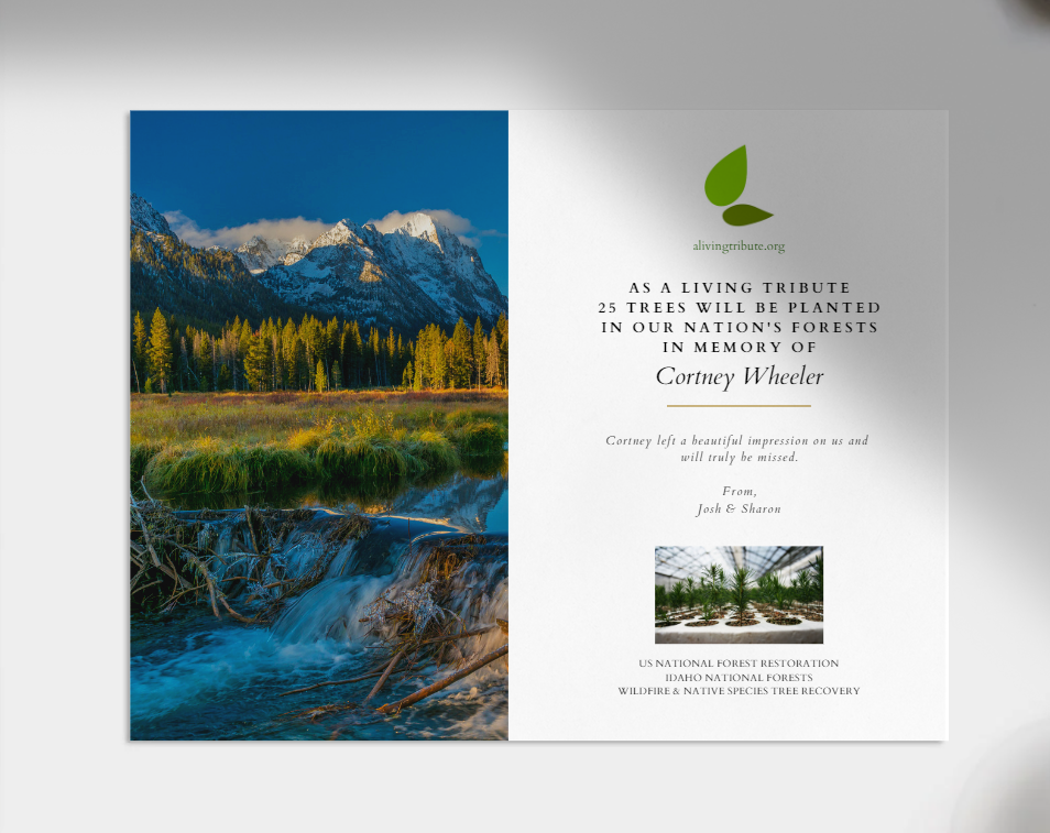 Plant-a-Tree Gift with Deluxe Photo Card