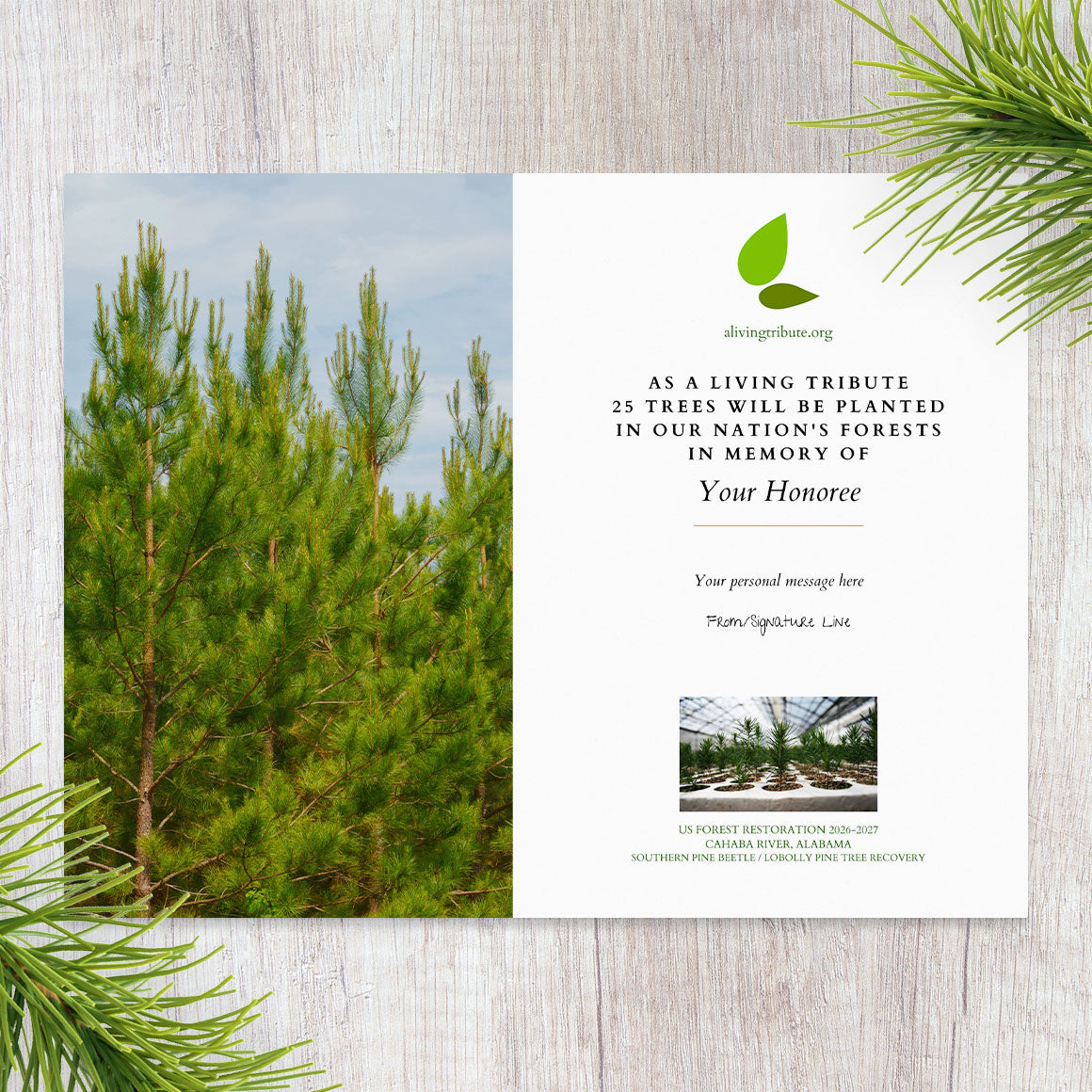 Plant a Tree for Someone in Alabama - Memorial & Tribute Trees