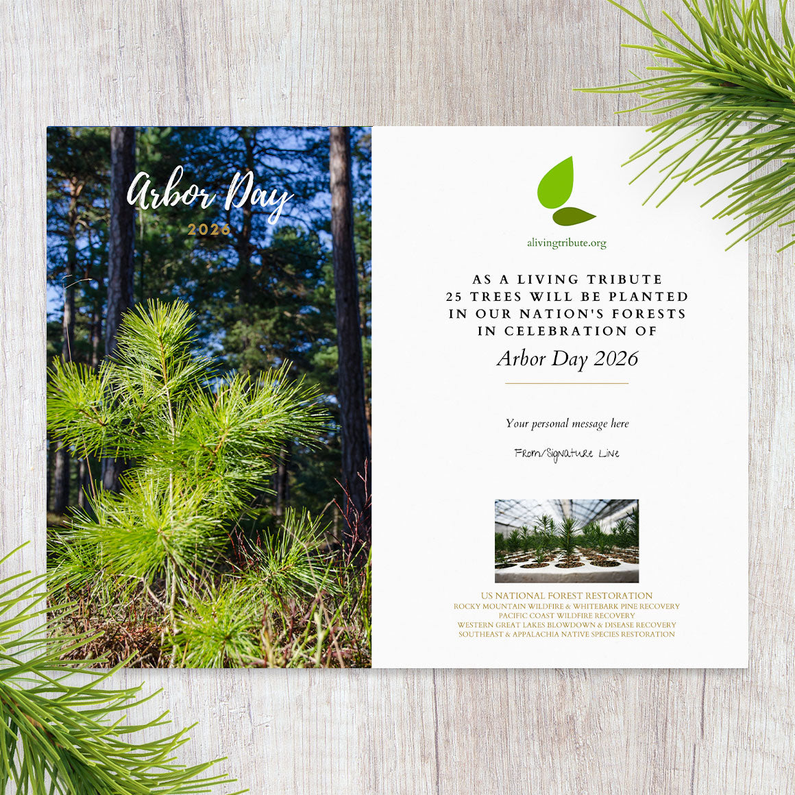 Plant a Tree for Arbor Day 2026