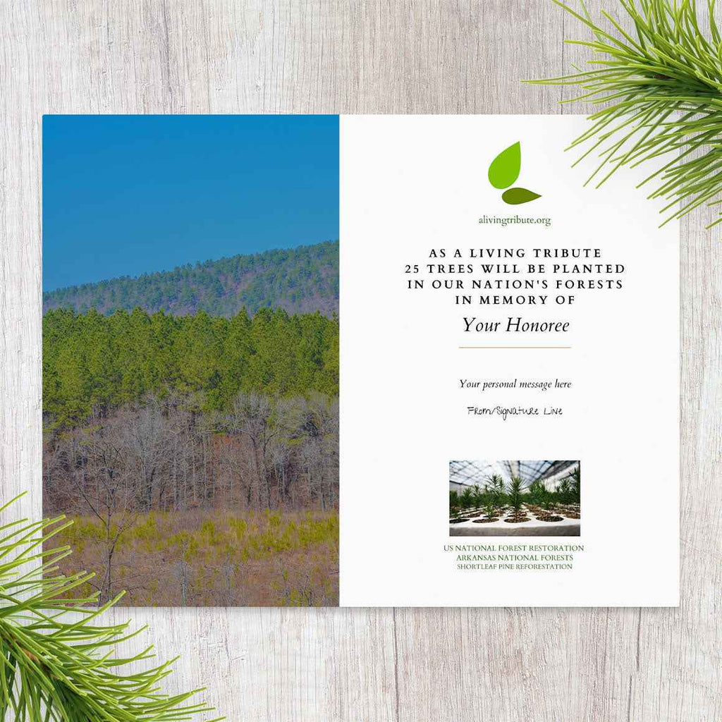 Plant a Tree for Someone in Arkansas - Memorial & Tribute Trees