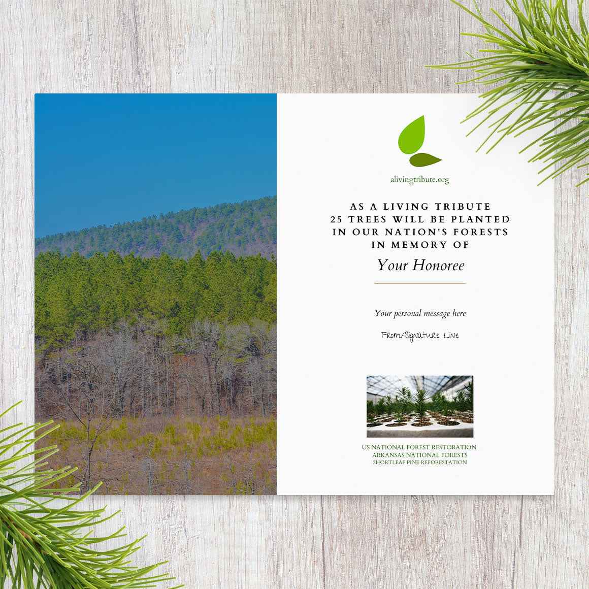 Plant a Tree for Someone in Arkansas - Memorial & Tribute Trees