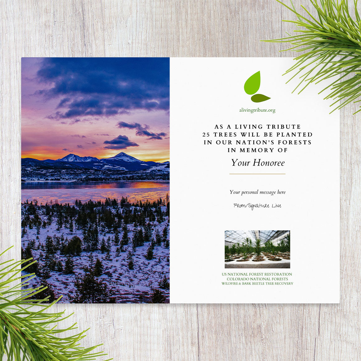 Plant a Tree for Someone in Colorado - Colorado Memorial Trees