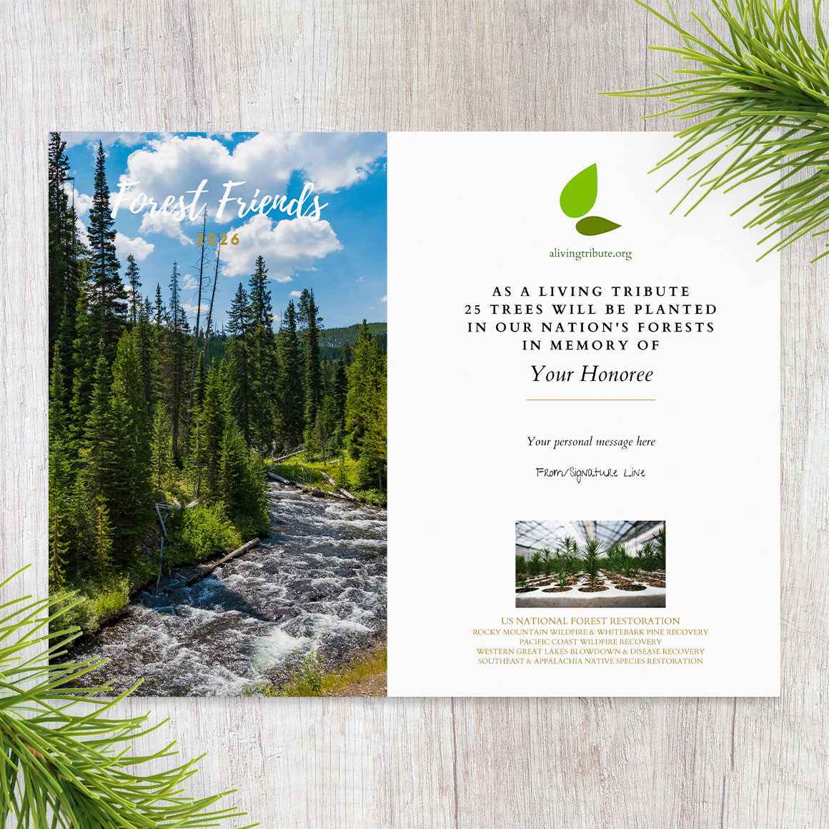 Forest Friends Tree Gift - A Living Tribute