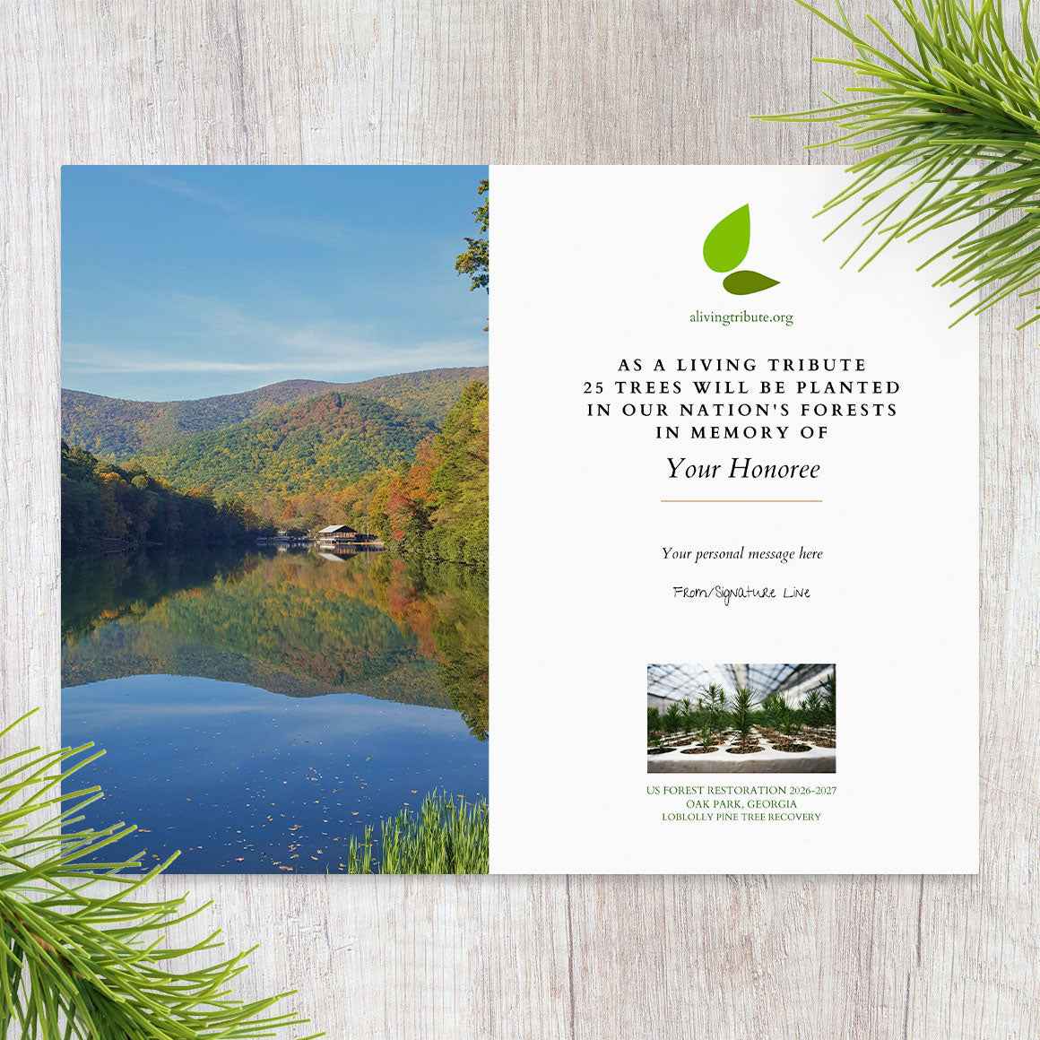 Plant a Tree for Someone in Georgia - Memorial & Tribute Trees