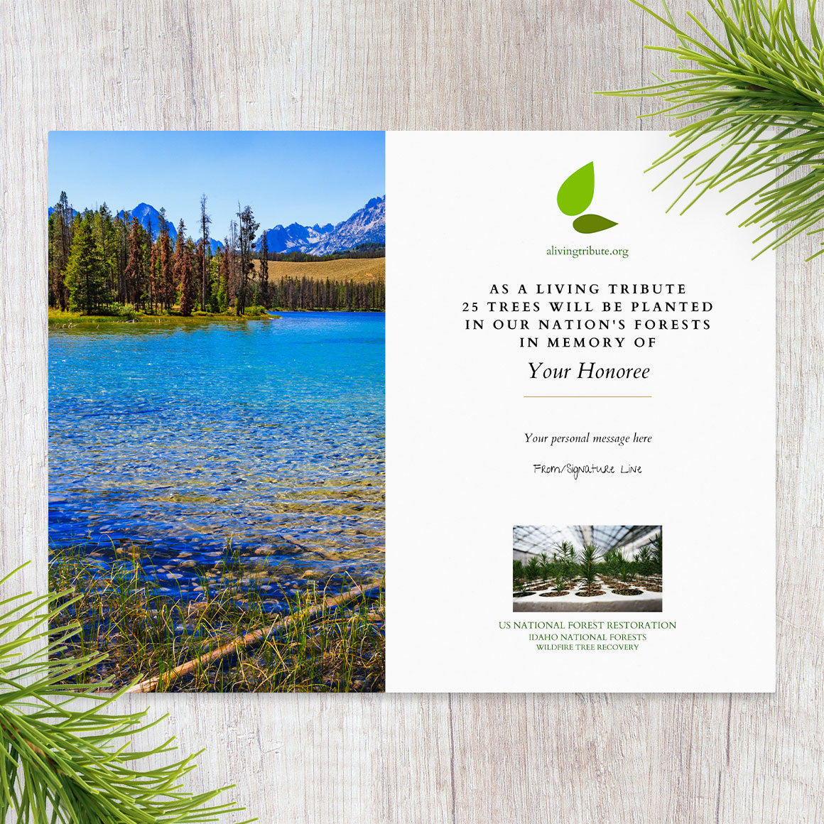 Plant a Tree for Someone in Idaho - Memorial & Tribute Trees