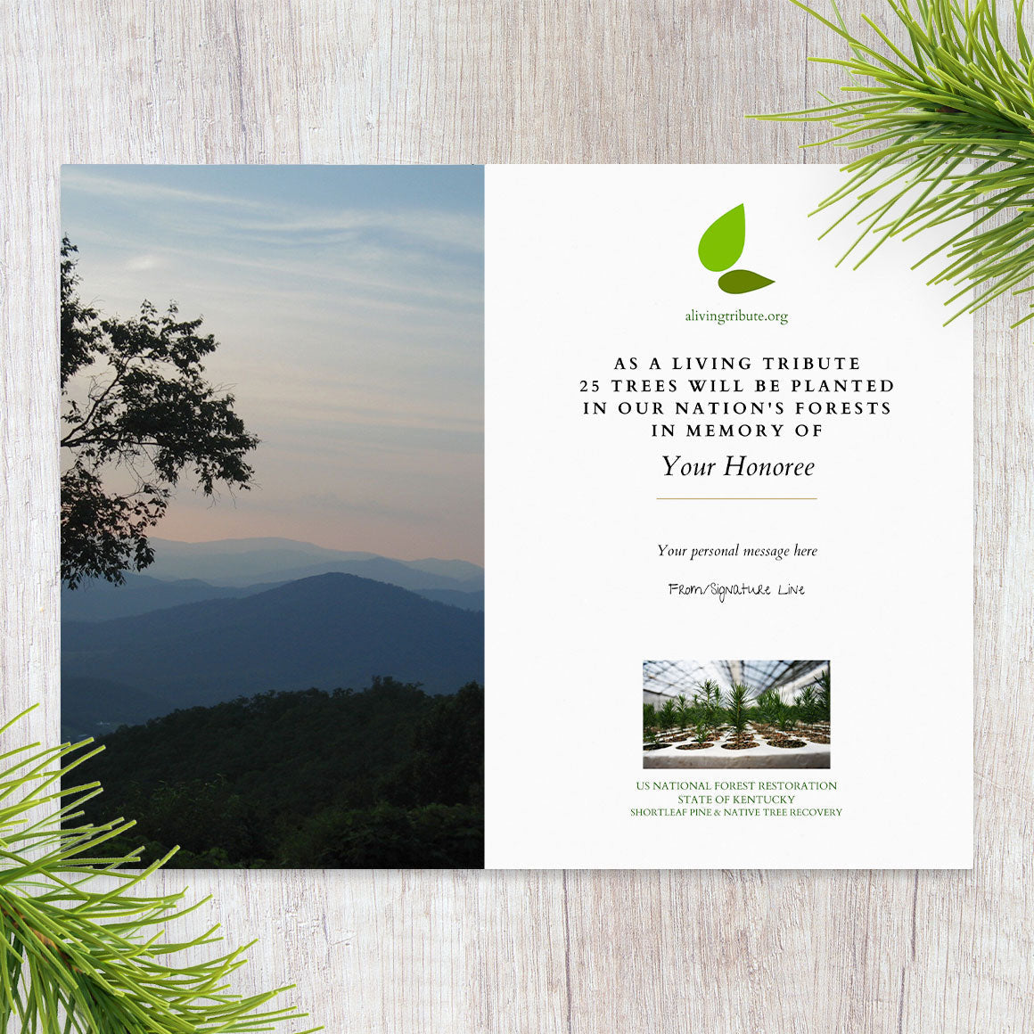 Plant a Tree for Someone in Kentucky - Memorial & Tribute Trees