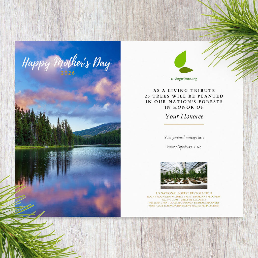 Plant-a-Tree Card for Mother's Day | A Living Tribute