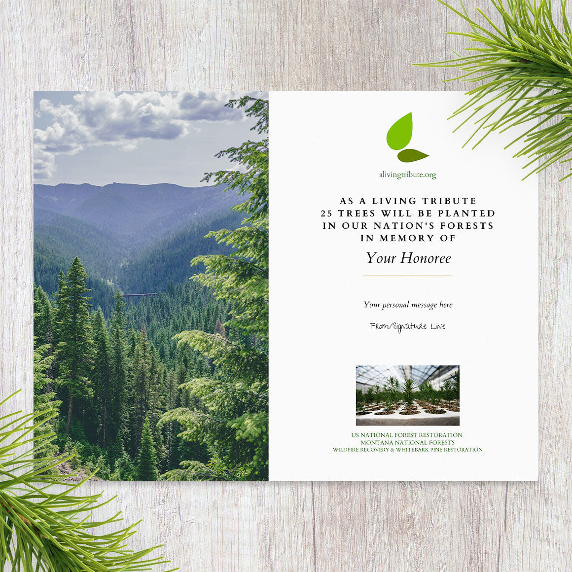 Plant a Tree for Someone in Montana - Memorial & Tribute Trees