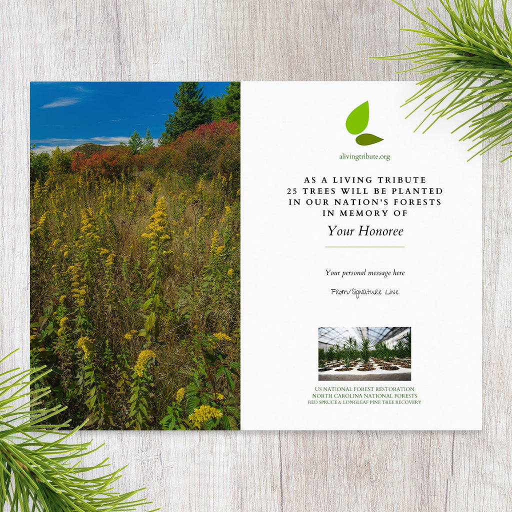 Plant a Tree for Someone in North Carolina - Memorial & Tribute Trees