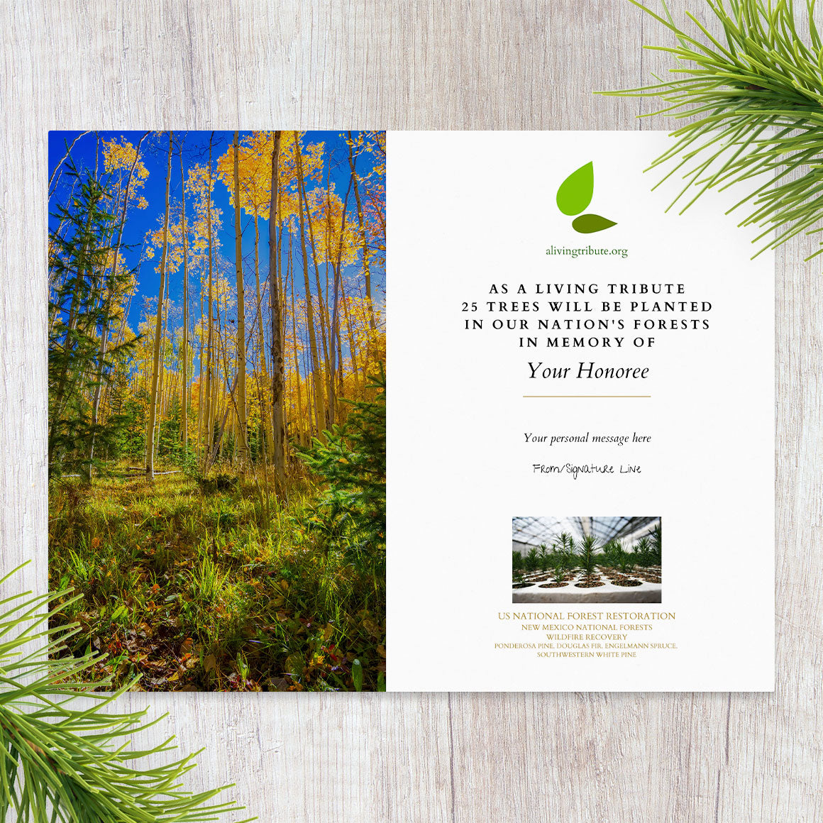 Plant a Tree for Someone in New Mexico - Memorial & Tribute Trees