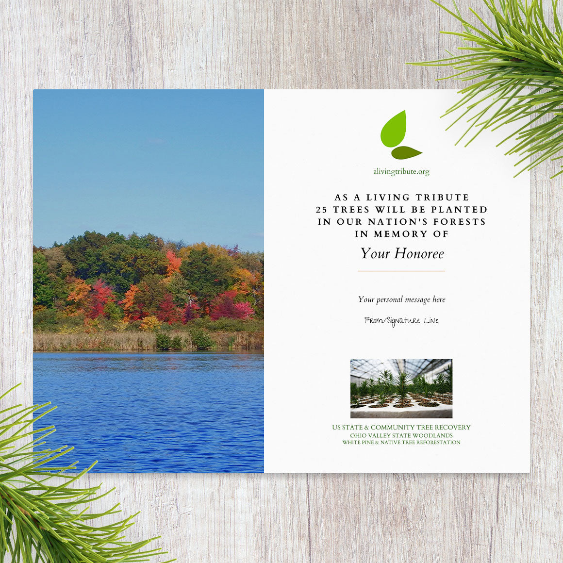Plant a Tree for Someone in Ohio - Memorial & Tribute Trees
